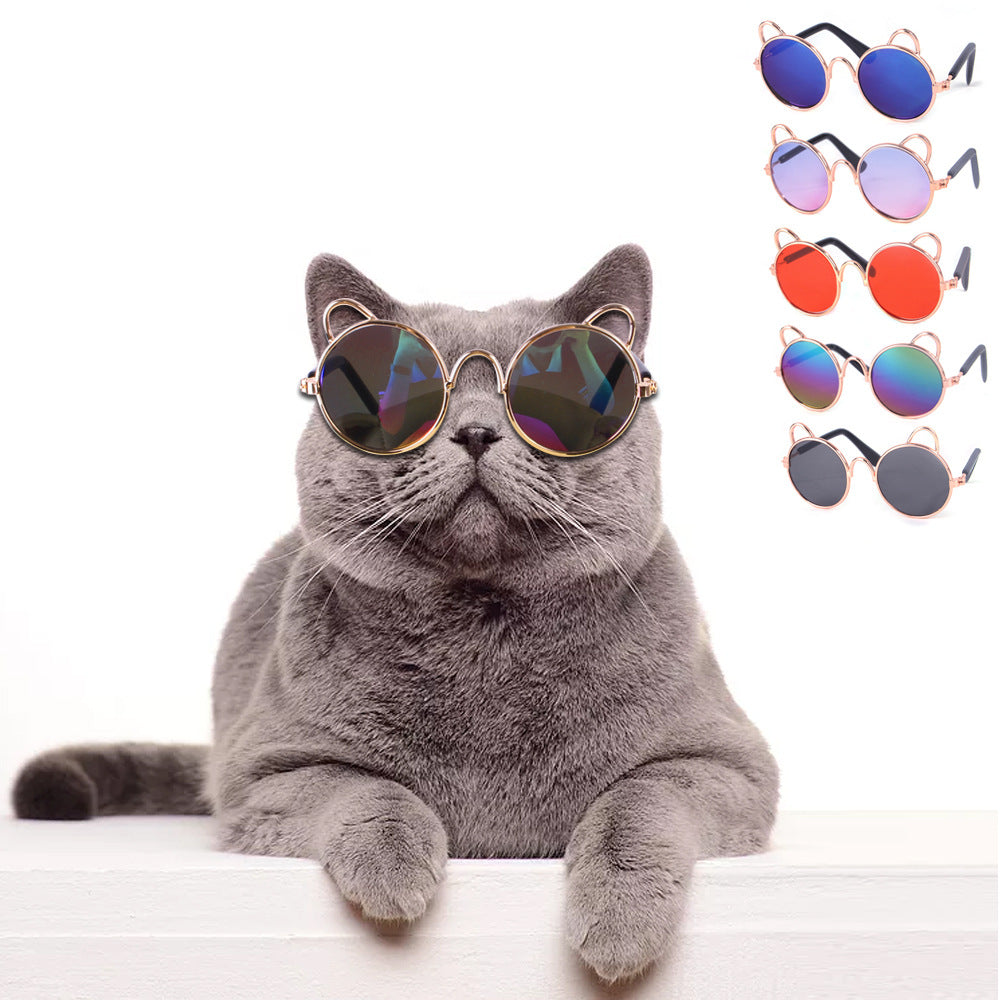 Cat Sunglasses